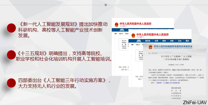 河北智飛極農(nóng)無人機科技|一鳶科技|行業(yè)定制無人機
